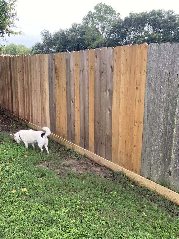 New section of fence added July, 2024